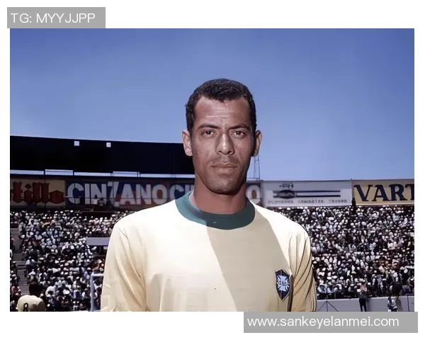 足球明星背后的号码故事与传奇球员的独特身份象征 足球明星背后的号码故事与传奇球员的独特身份象征