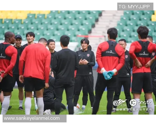 成都排球队团队协作引发热议球员间配合与默契问题亟待解决 成都排球队团队协作引发热议球员间配合与默契问题亟待解决